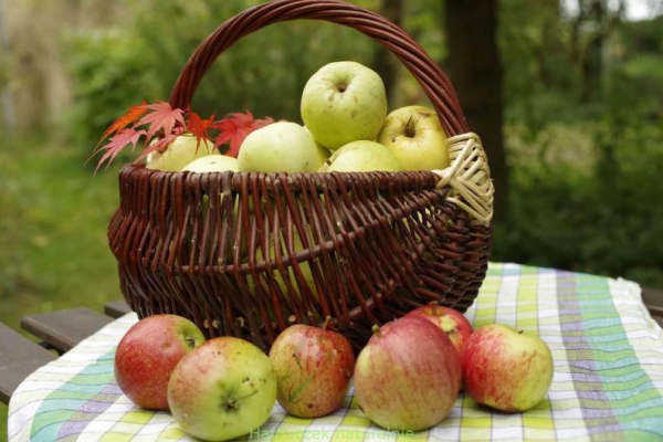 Czatnej z jabłek – seb ki chatni