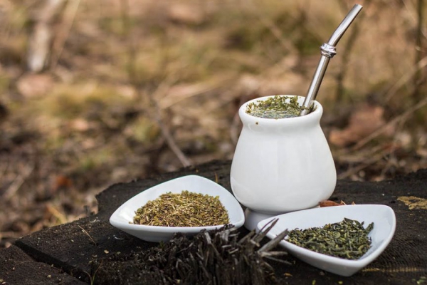 Yerba mate, czyli o argentyńskiej herbacie