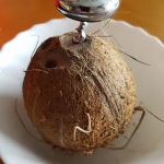 Jak otworzyć kokosa ?
