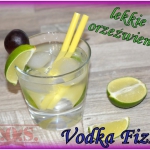 Drink Vodka Fizz
