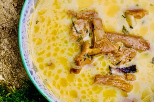 Leśna zupa z kurek.