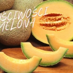 Melon – Właściwości...