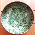 Zielona zupa