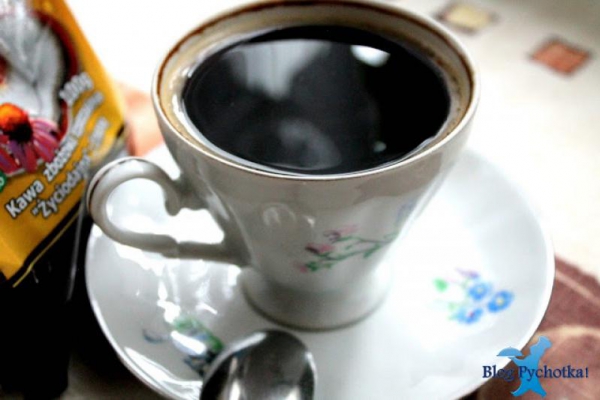 Kawa zbożowa Galca życiodajna z Echinaceą