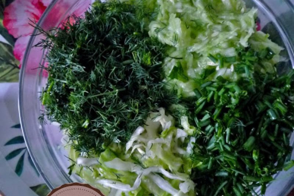 Surówka z młodej kapusty i ogórka. Spring Cabbage Cucumber Raw Salad.