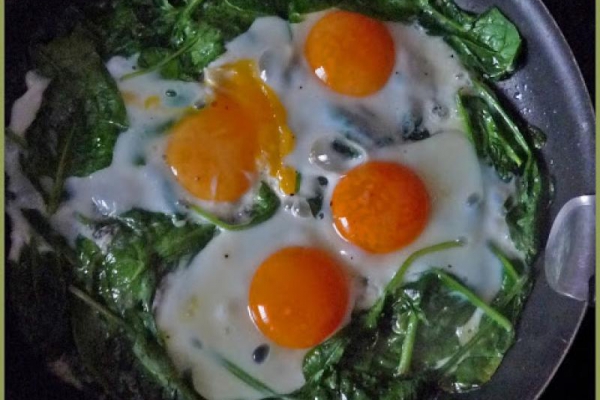 Jajko sadzone na szpinaku. Fried egg on spinach.