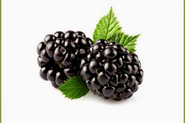 Dlaczego warto jeść jeżyny? Why should we eat blackberry?