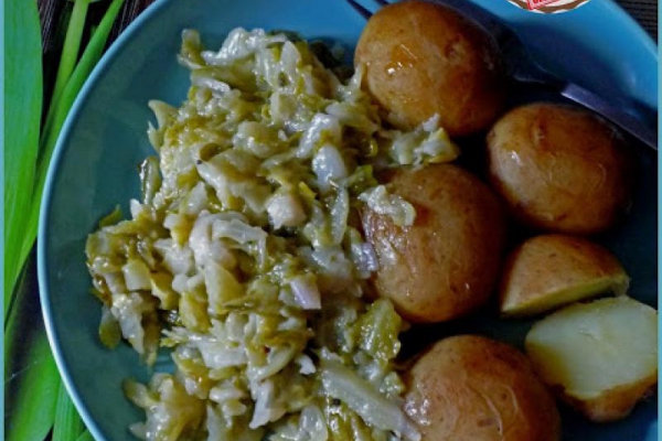 Młoda kapusta i ziemniaki. Young cabbage and potatoes.