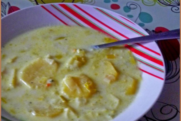Francuska zupa porowa z ziemniakami.  French leek soup with potatoes.