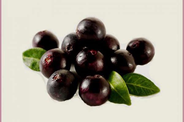 Dlaczego warto jeść jagody acai? Why should we eat acai berry?