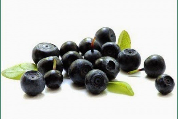 Dlaczego warto jeść borówki i jagody? Why should we eat blueberries?