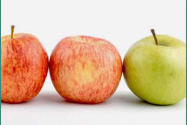 Najzdrowsze owoce lokalne, czyli dlaczego warto jeść jabłka? Why should we eat apples?