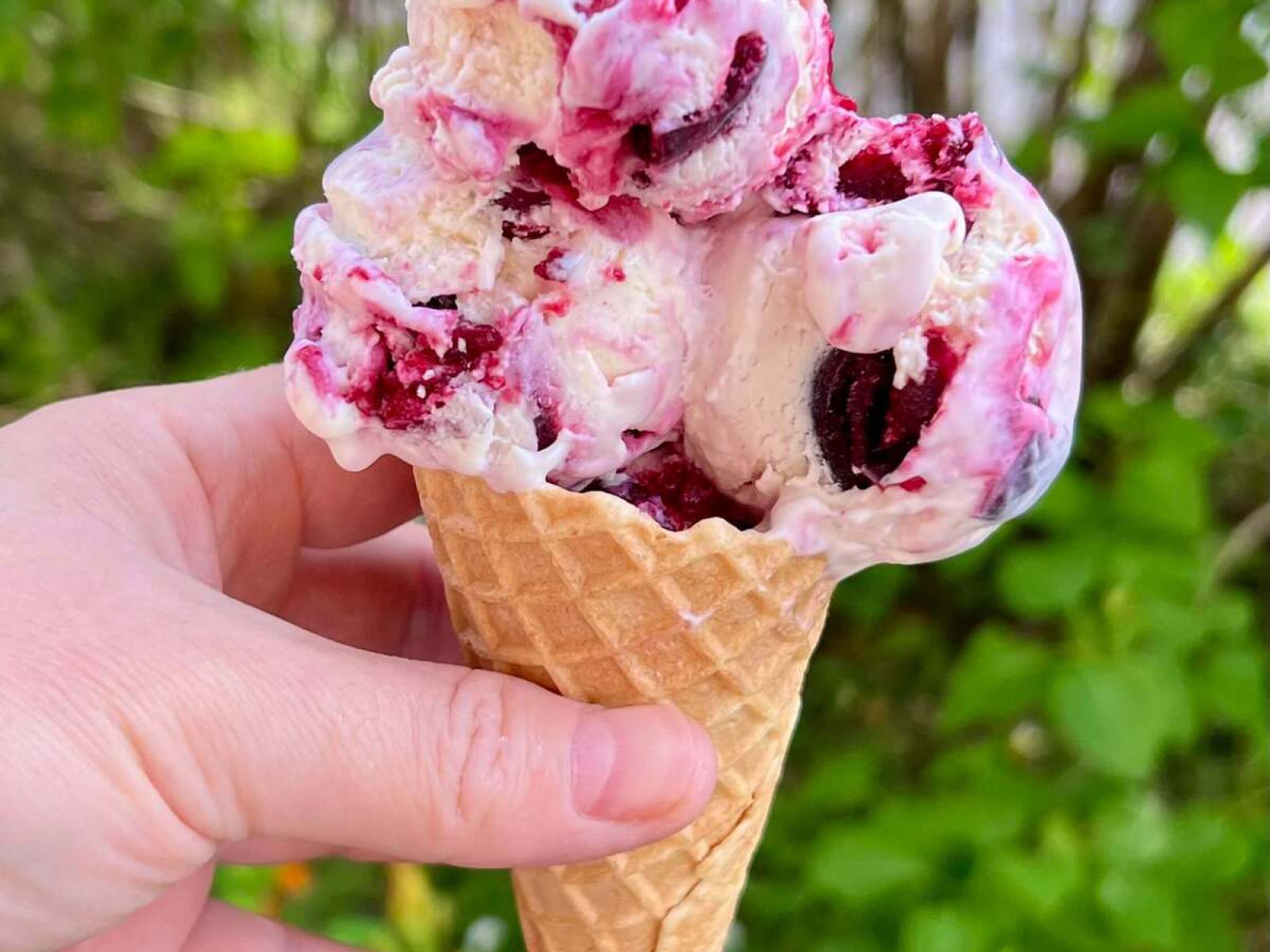 Lody z czereśniami