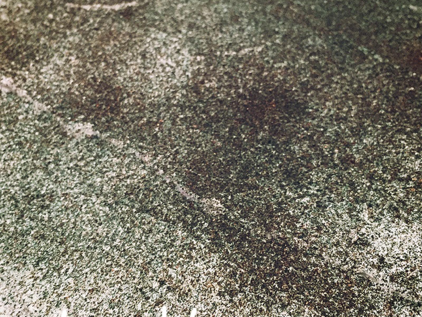 Zielone tiramisu