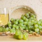 Czym charakteryzuje się...