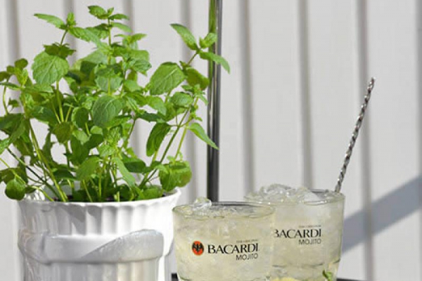 Bacardi Mojito