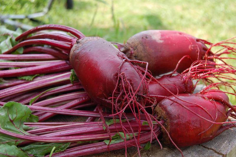 Durian – zdrowotne właściwości i wartości odżywcze tropikalnego owocu