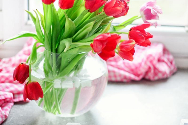 Prosty trik aby cięte tulipany stały dłużej