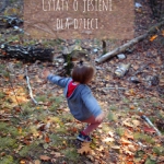 Cytaty o jesieni dla...