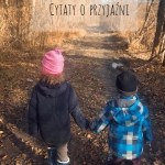 Krótkie cytaty o...