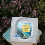 TRAVEL GUIDE SET box