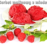 Sorbet malinowy