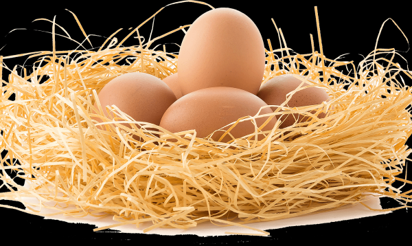 Wartość odżywcza jajek – czy wiesz co siedzi w jajku?