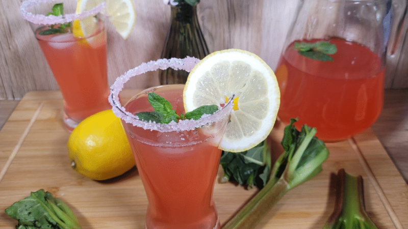 Lemoniada rabarbarowa