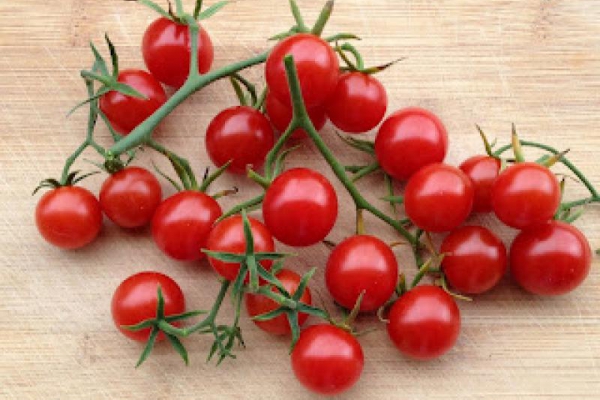 Pomidory z własnej uprawy