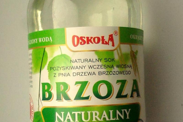 Sok z brzozy