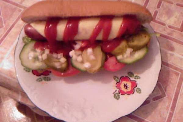 Hot dogi Kasi