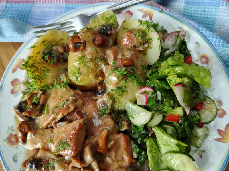 Bitki ze schabu w sosie z pieczarkami i kurkami