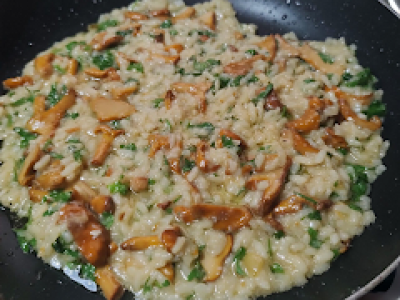 Risotto z Kurkami