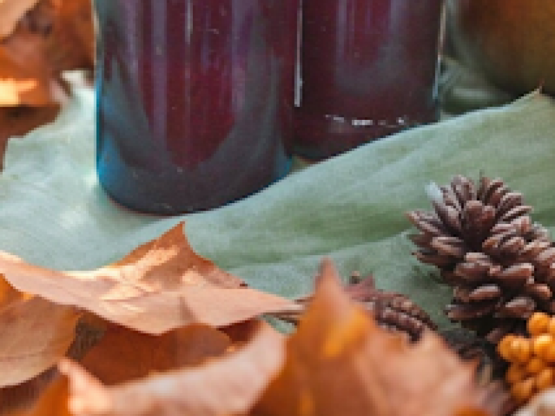 Syrop ze Śliwek do Słoików