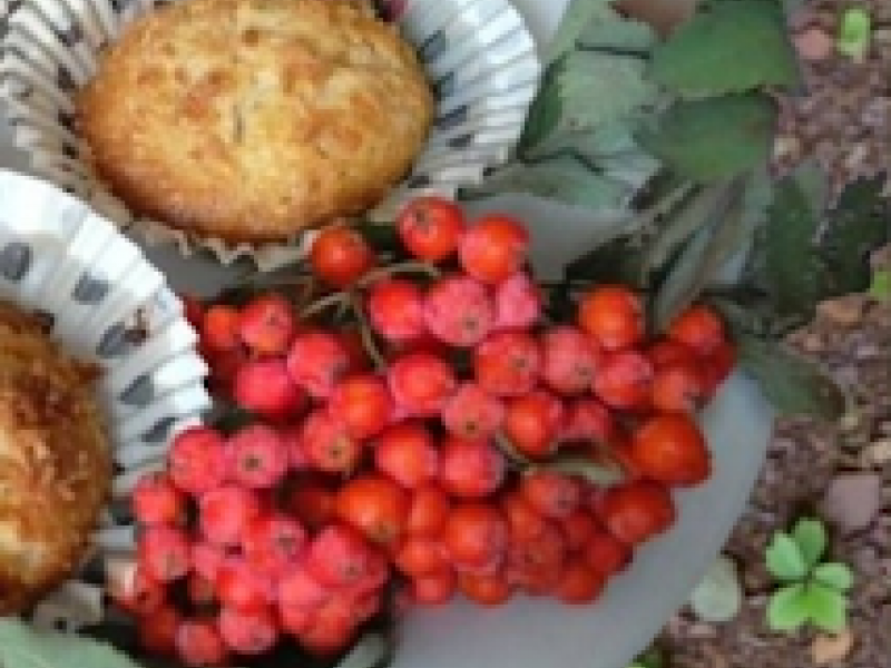 Muffinki z Prince Polo