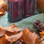 Syrop ze Śliwek do...