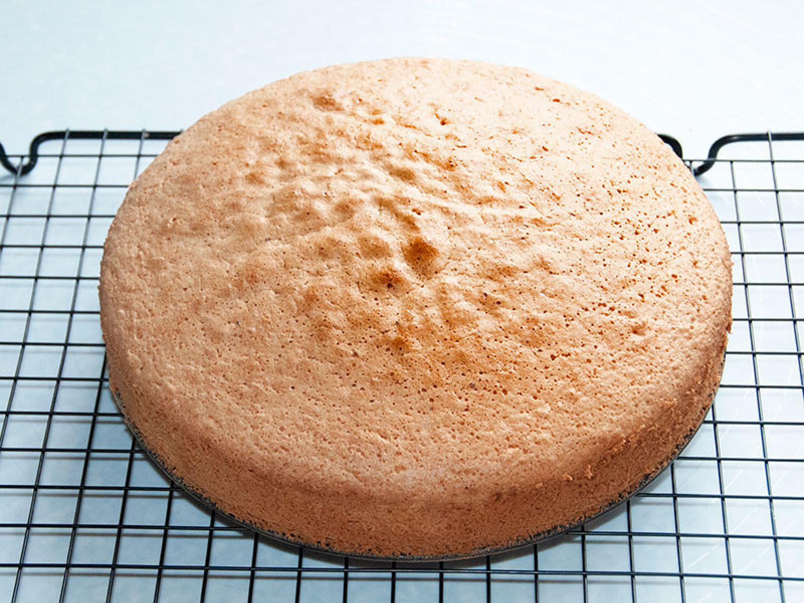 Tort – Kokos – Limetten