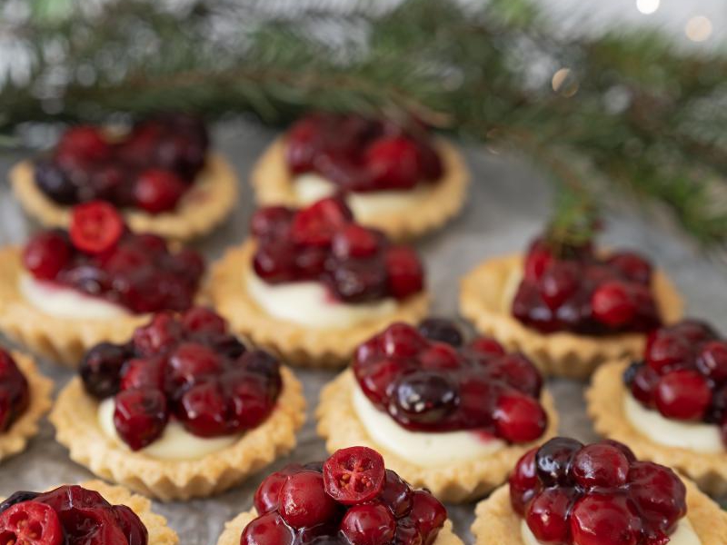 BABECZKI Z BUDYNIEM I FRUŻELINĄ ŻURAWINOWO-BORÓWKOWĄ