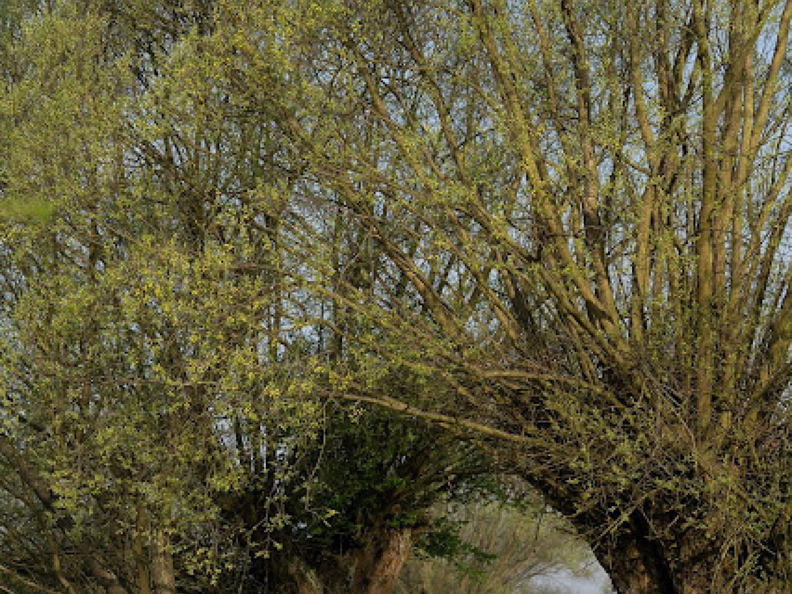 MAGICZNE ZAKĄTKI GROMCA