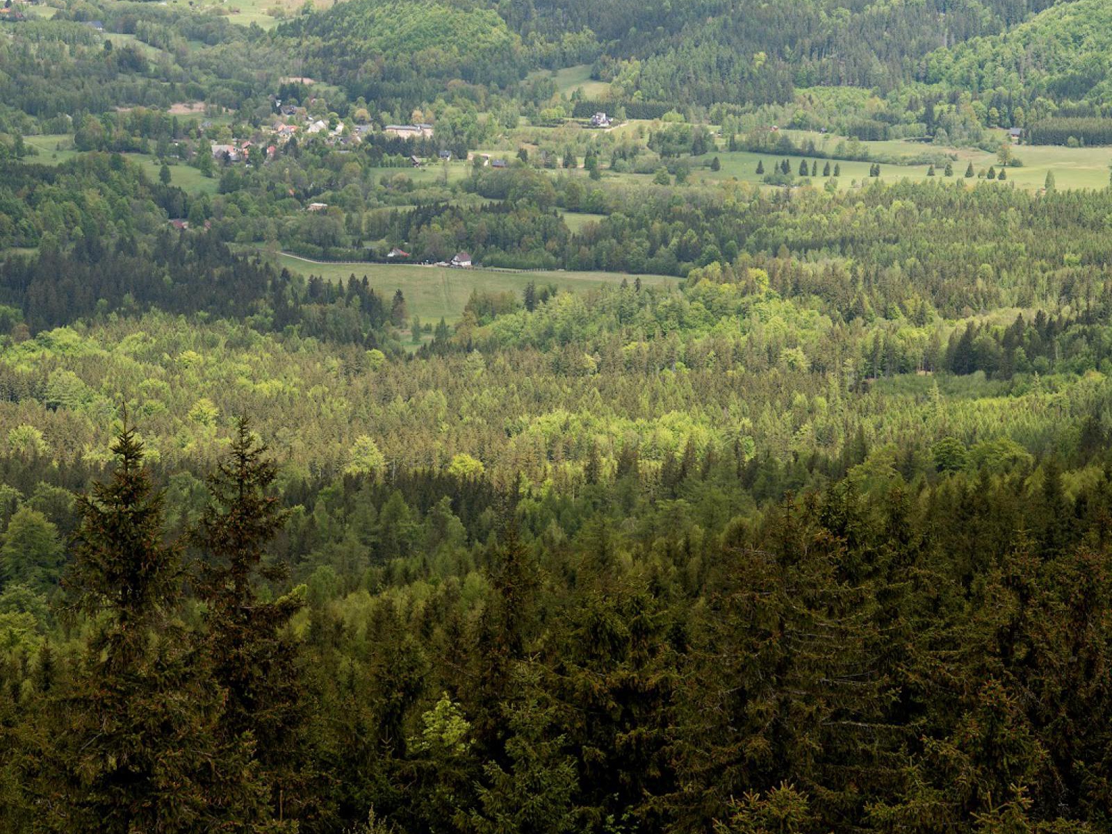 SKALNIK (945 M N.P.M.) – SZLAK Z CZARNOWA, OPIS TRASY, PARKING