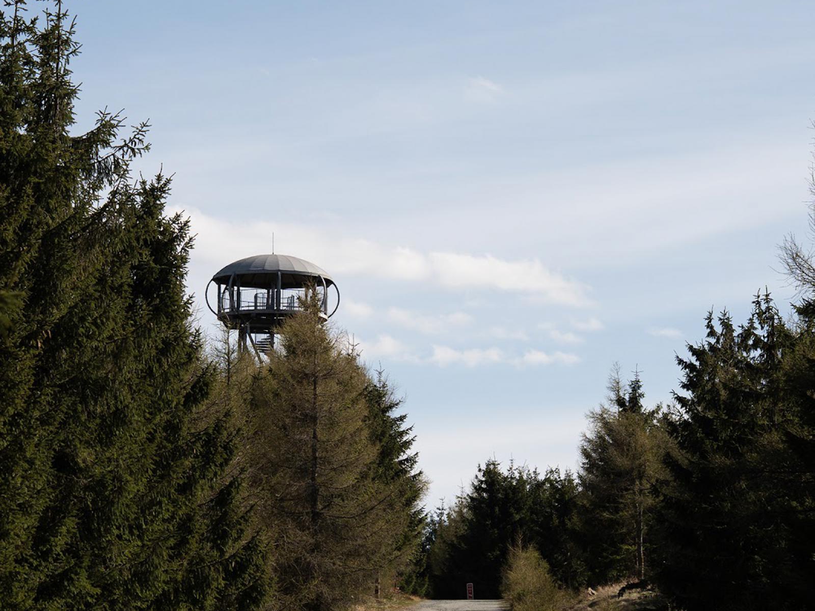 JAGODNA (977 M N.P.M.) – SZLAK Z PRZEŁĘCZY SPALONEJ, OPIS TRASY, PARKING