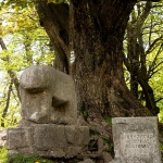 ŚLĘŻA (718 M N.P.M.)...