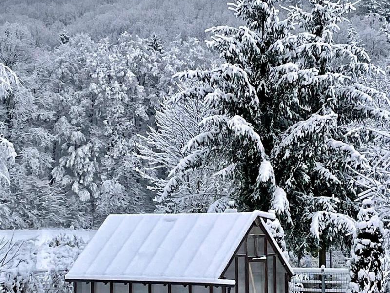 Zima w ogrodzie - praktyczne porady
