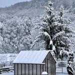 Zima w ogrodzie -...