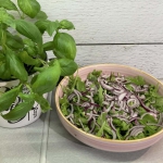 Szybka sałatka z...