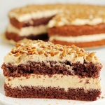 Słonecznikowiec –...