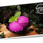 Fit Lody Dragon Fruit z...