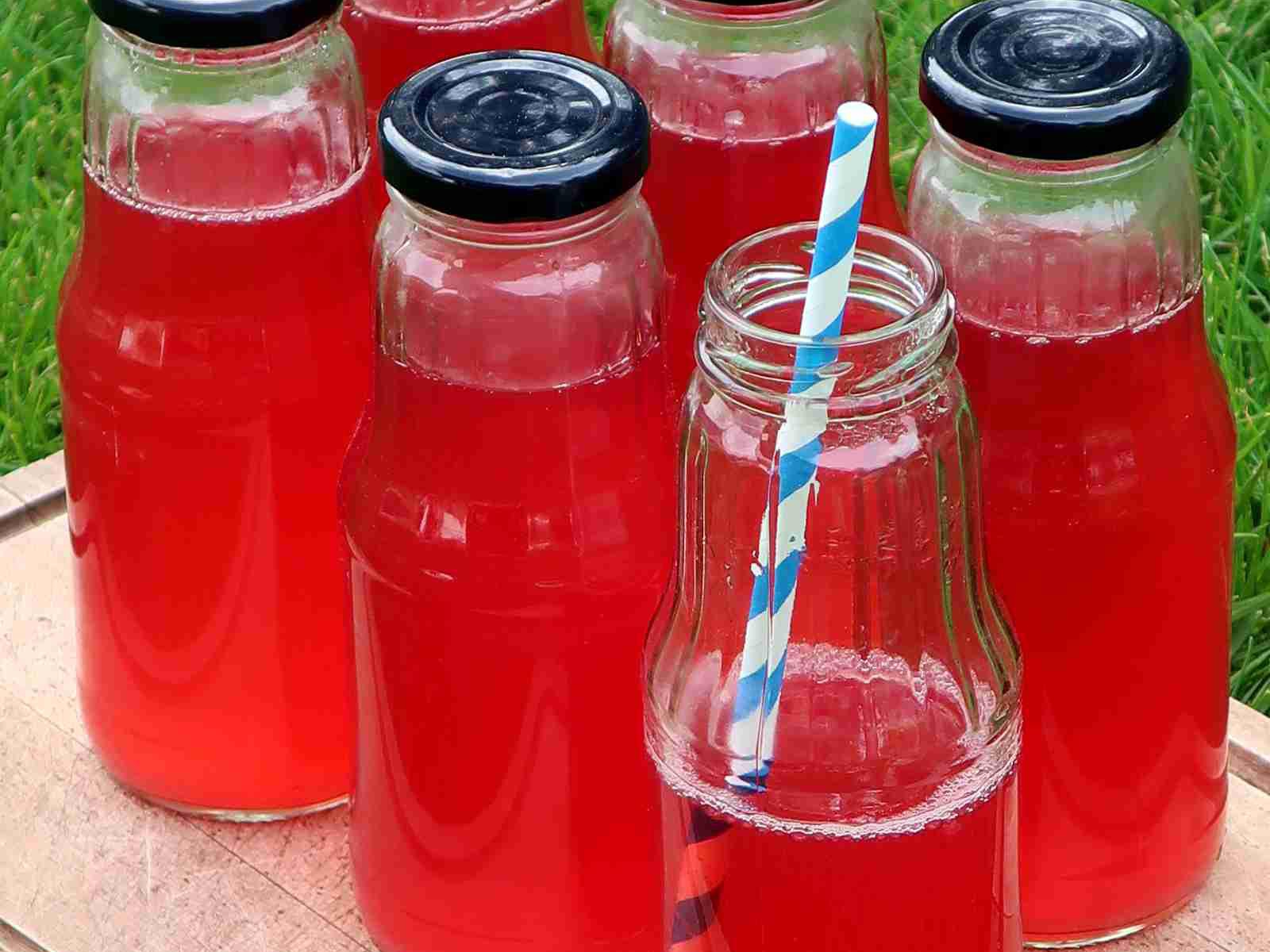 Lemoniada z rabarbaru na zimę i na teraz – prosty przepis