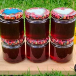 Mniszek lekarski:...