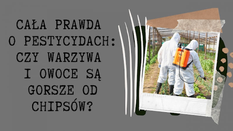 Czy naprawdę jesz chemię? Cała prawda o warzywach i owocach!